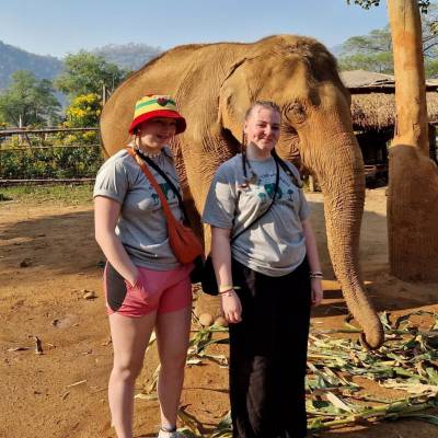 Y myfyrwyr gyda eliffant yn y Parc Natur ger Chiang Mai yng Ngwlad Thai